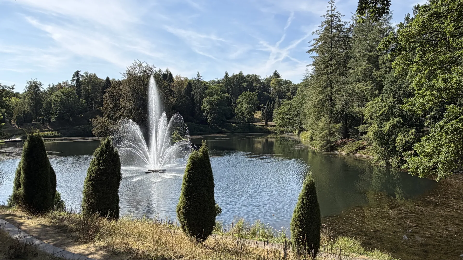 Park Berg en Bos